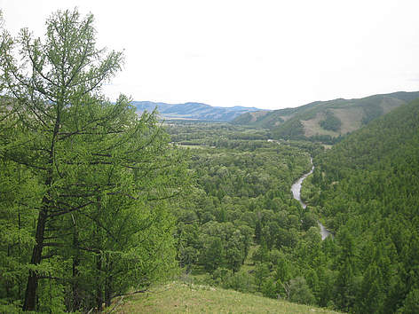 Khan Khentii PA
© WWF Mongolia rel=