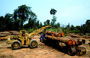 Illegally logged forest, Laos. This area was subsequently flooded with the construction of the Nam Theun II dam.