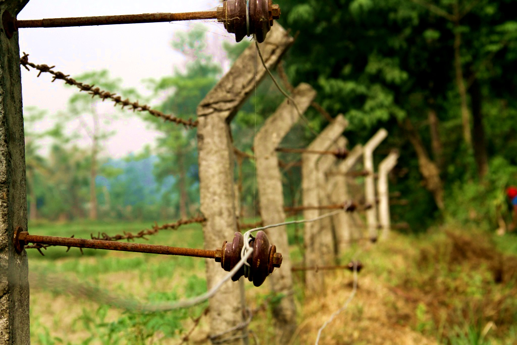 Power fencing Helping people help wildlife WWF