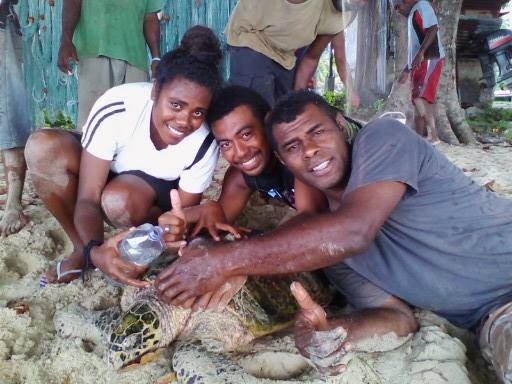 Turtle Saluting Saluting our turtle champions | WWF