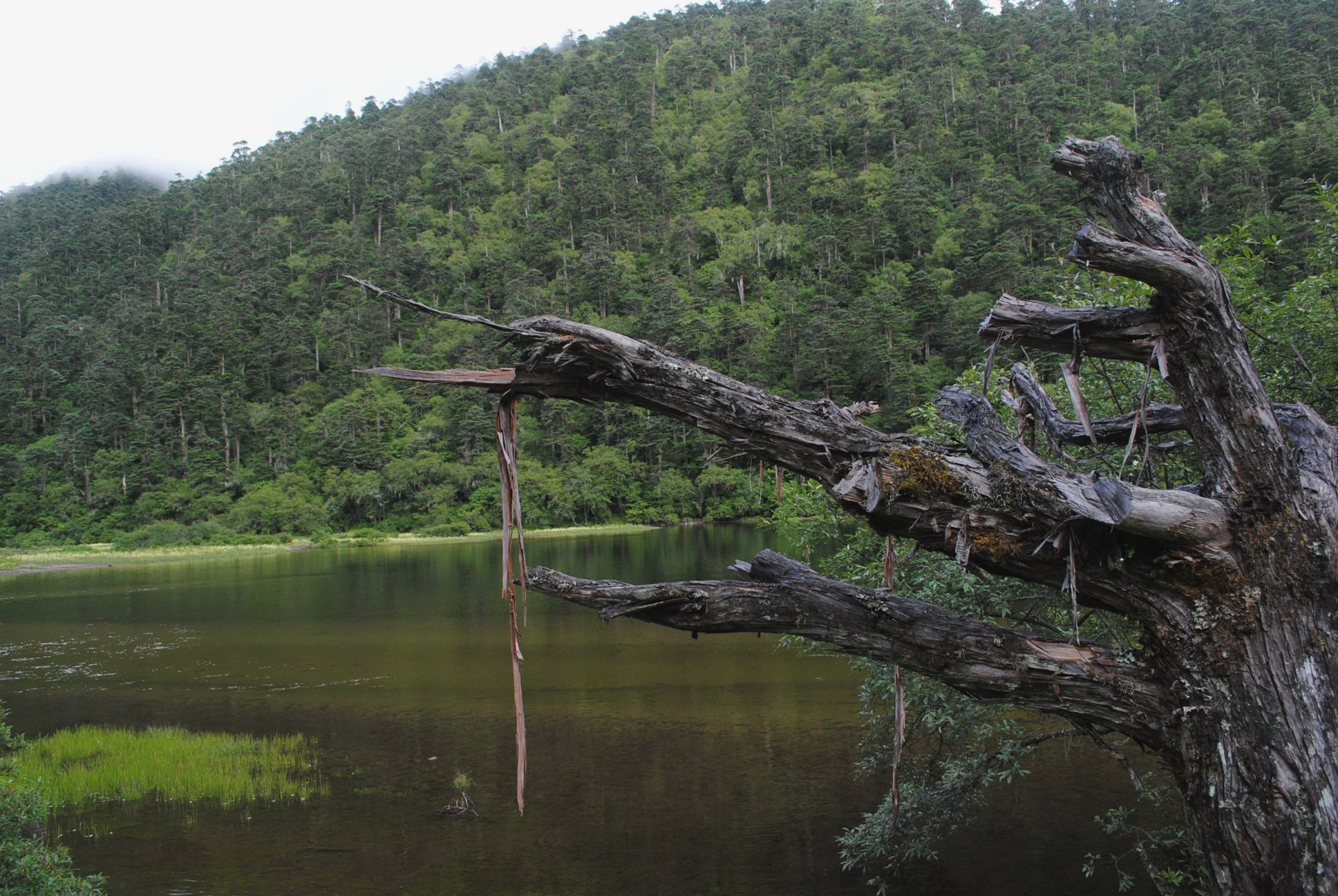 Bhutan joins the Ramsar Convention WWF