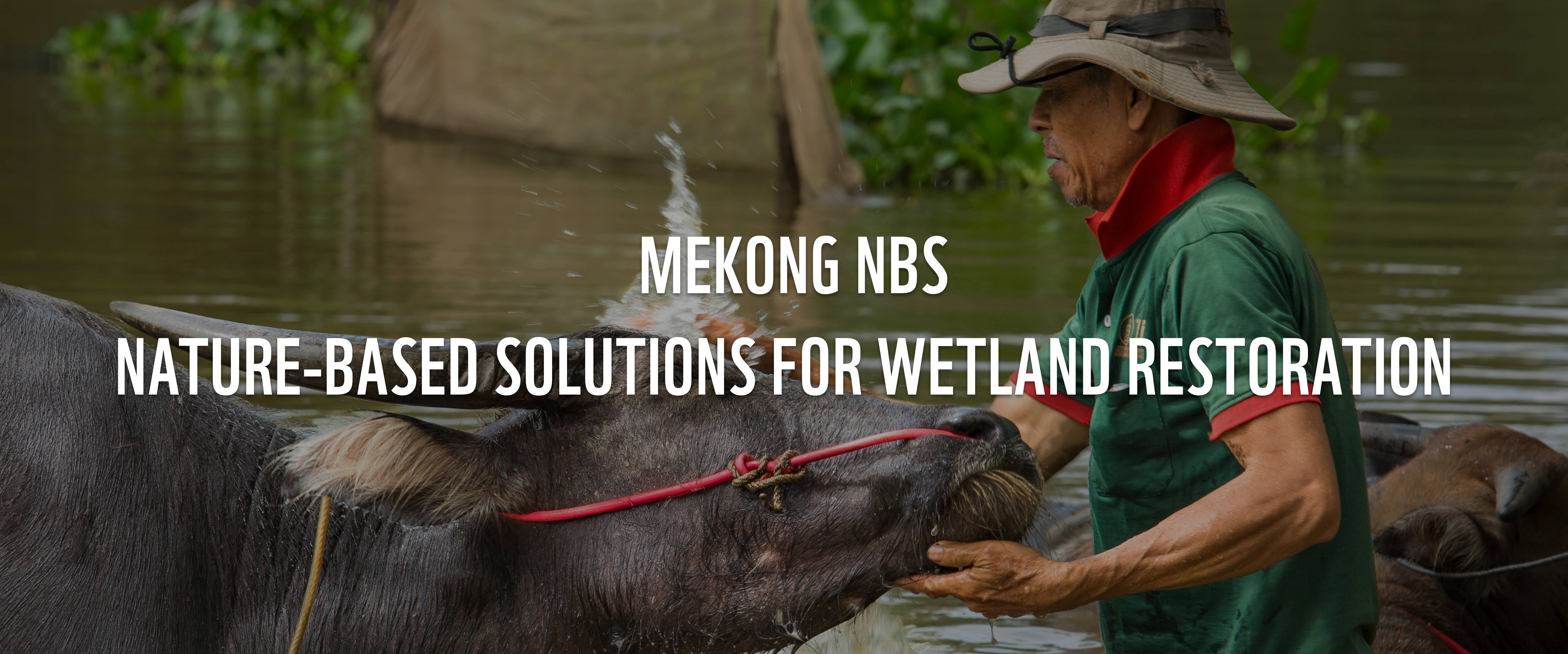 Mekong NbS hero en