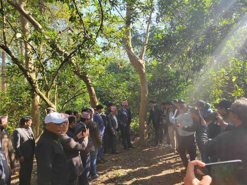 Minister of Forests and Environment, Honourable Madhav Prasad Chaulagain inaugurating the Tiger count by pressing the camera trap button.