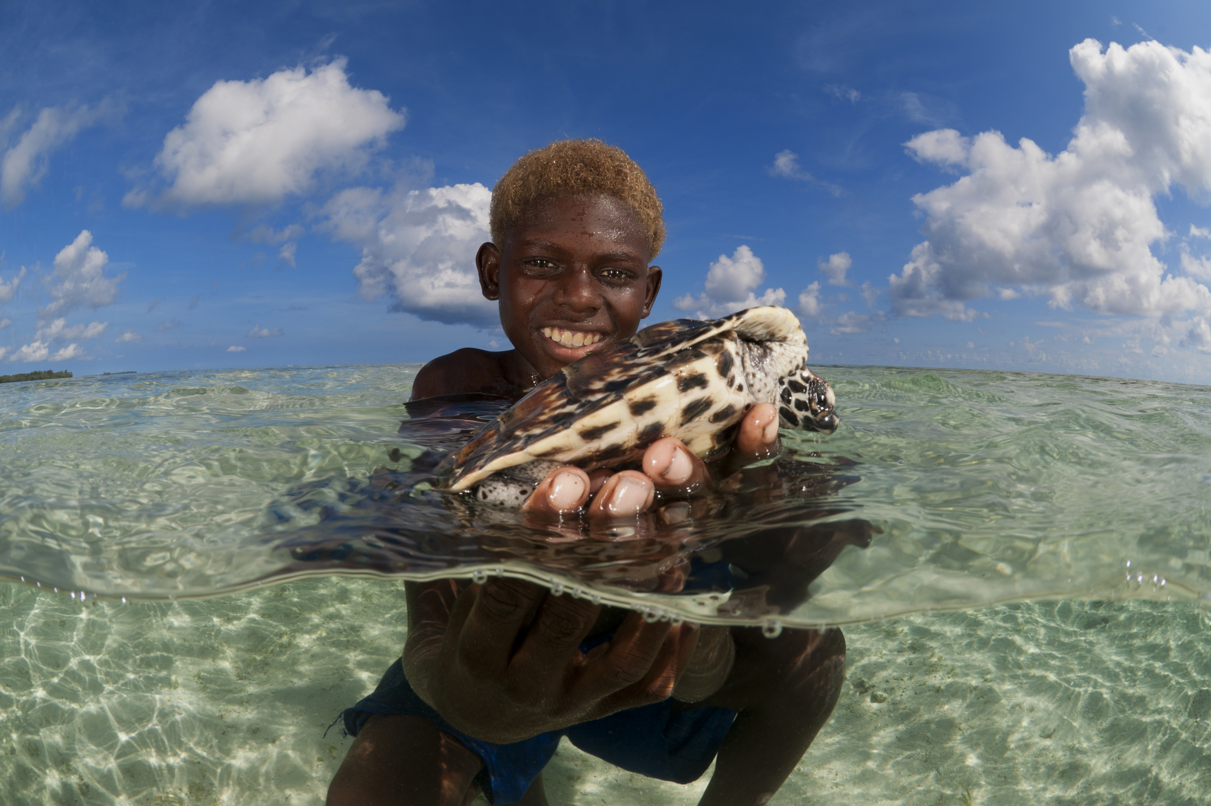 Protesting Turtles Protecting Turtles in the Pacific (Part 1) | WWF