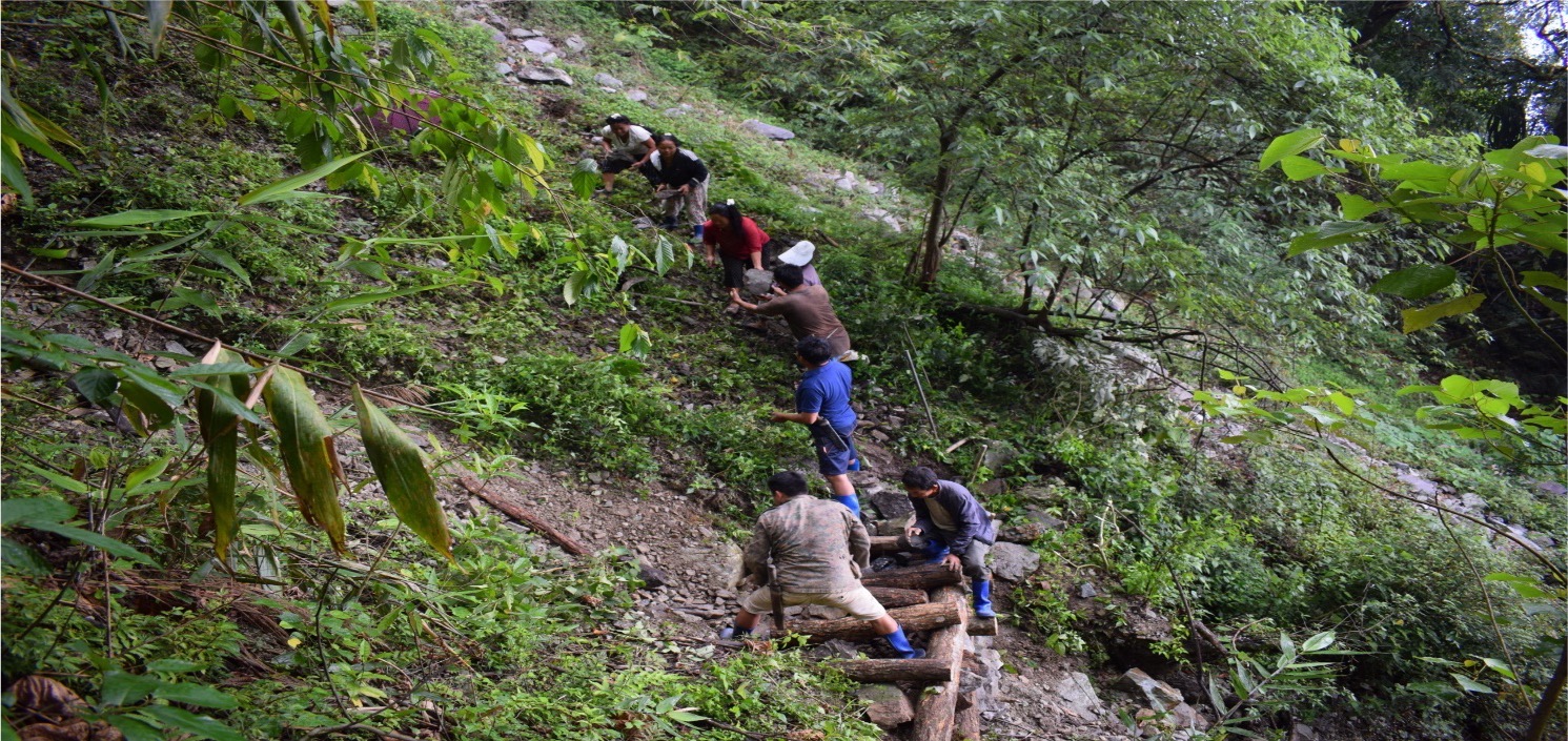 PES schemes have increasingly emerged as viable mechanisms for sustainably funding conservation efforts.