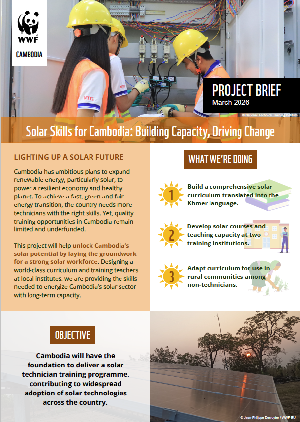Solar Skills for Cambodia: Building Capacity, Driving Change