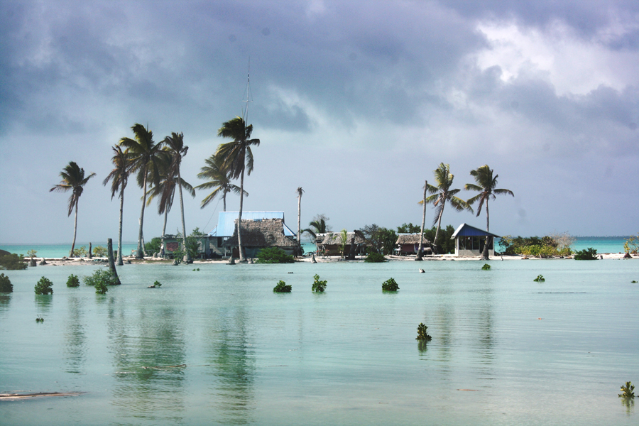 Pacific Currents Issue NovDec 2010 WWF