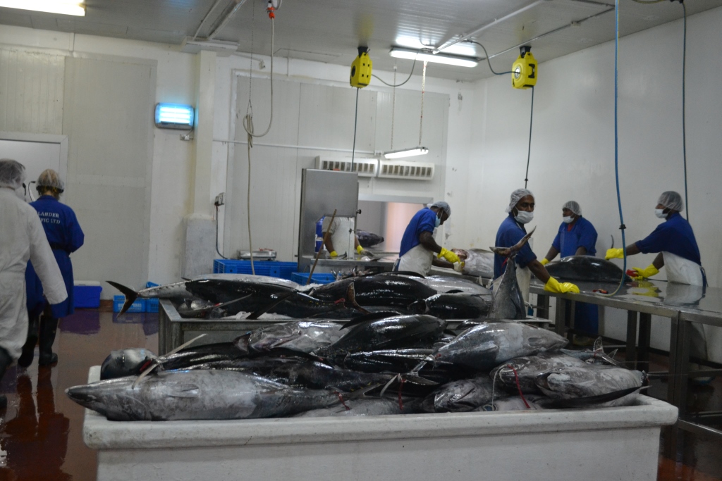 Soltuna Factory Tuna Commission endorses work plan to manage South Pacific albacore ...