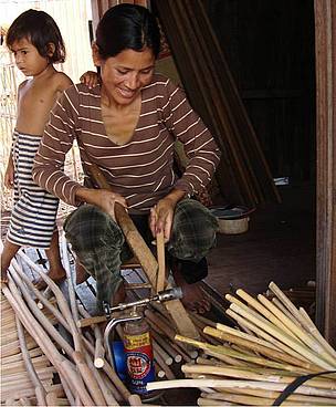 Pointing the way to sustainable rattan | WWF